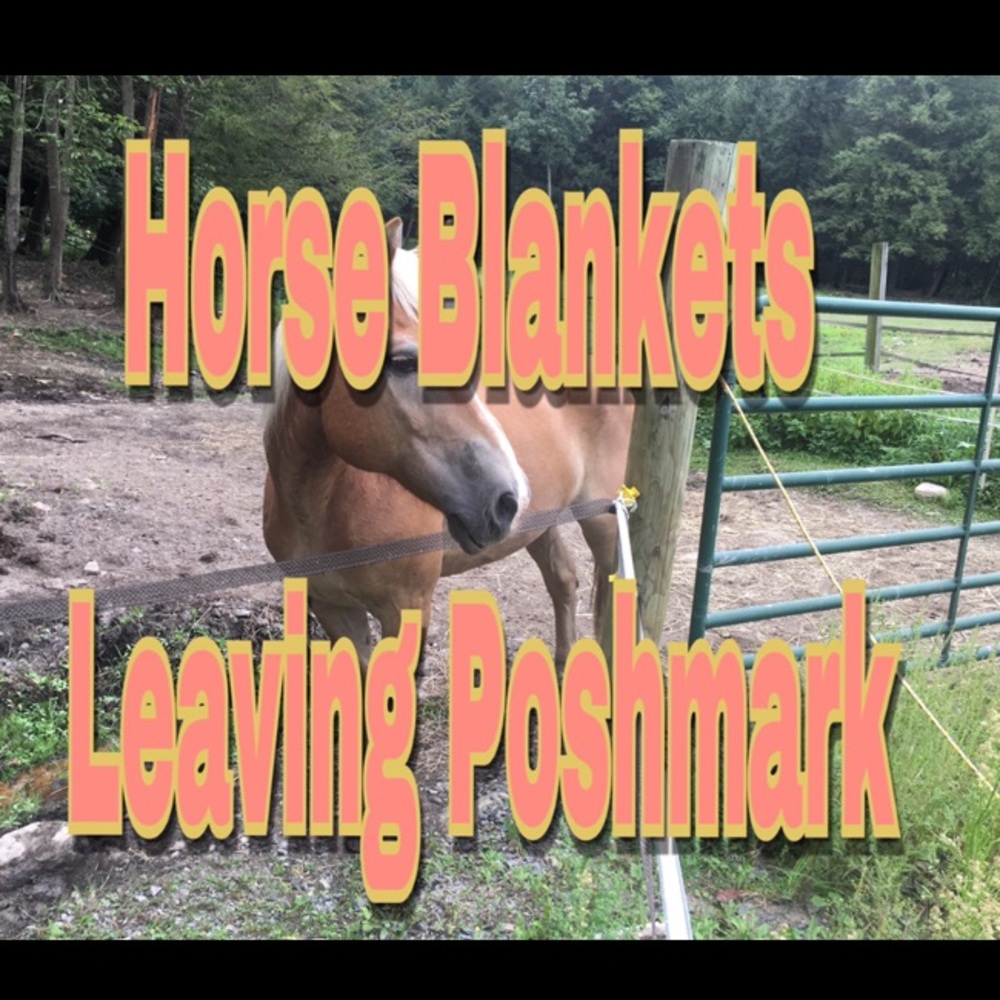 All horse products